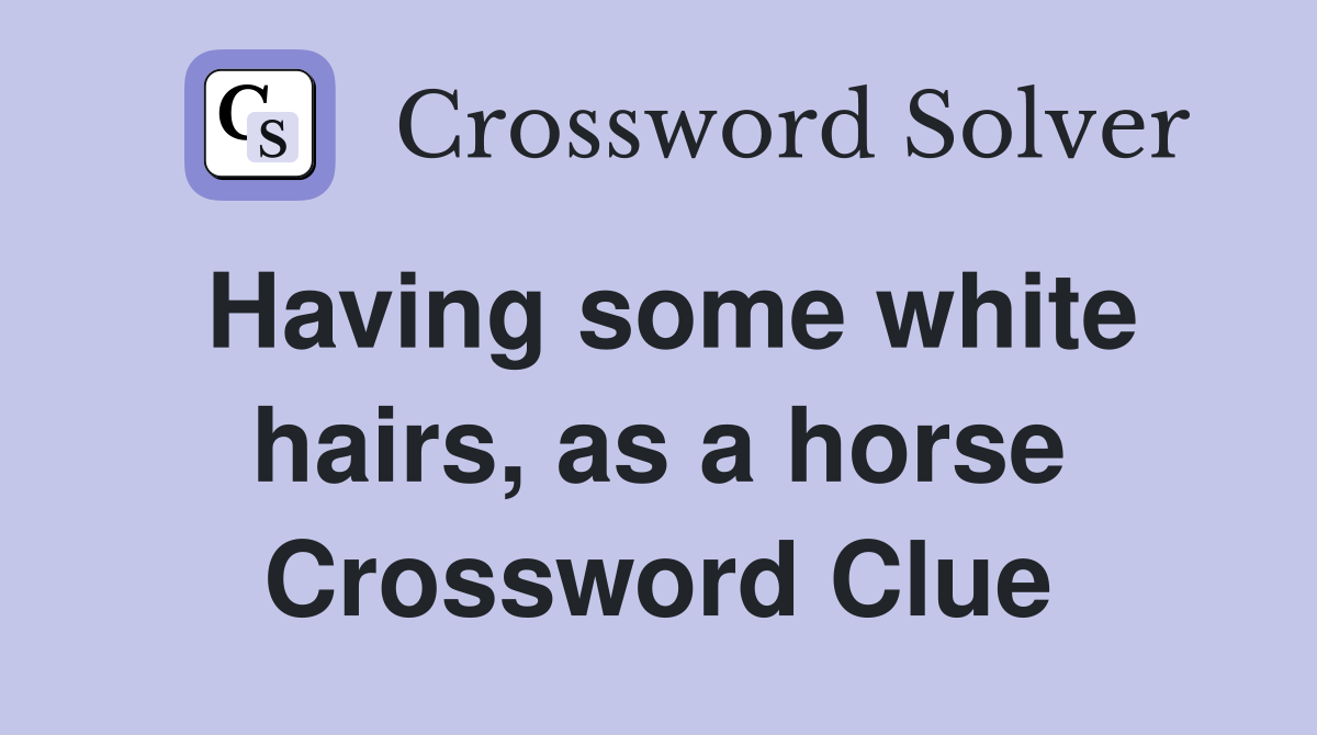 Having some white hairs, as a horse Crossword Clue