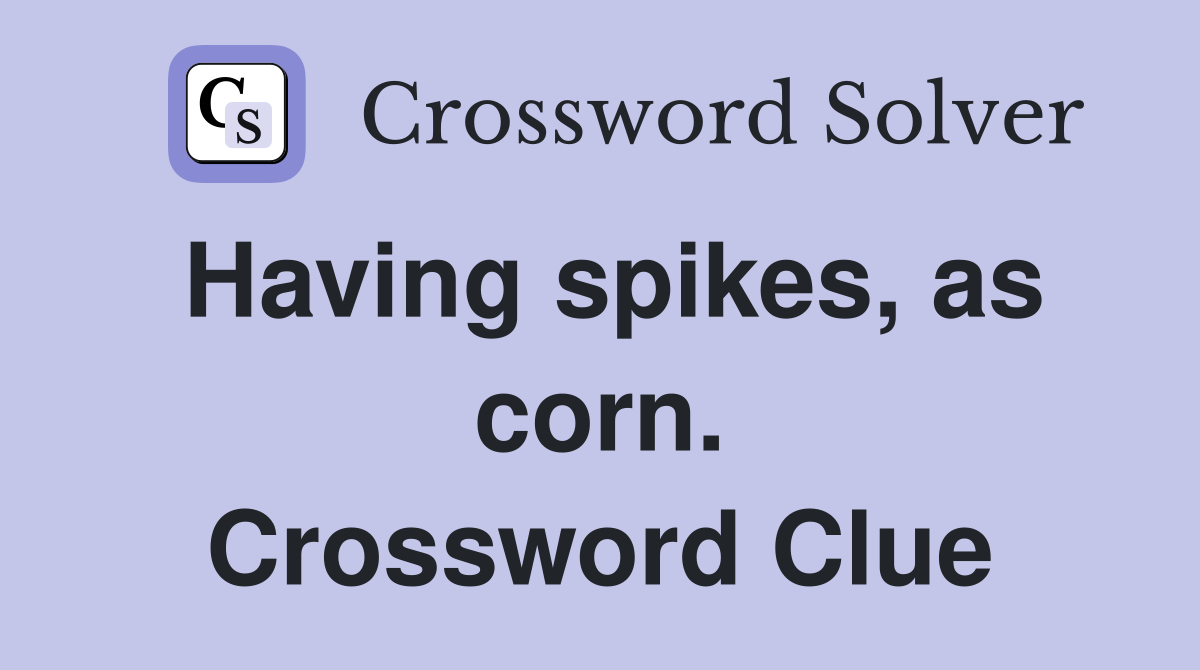 Having spikes, as corn. Crossword Clue