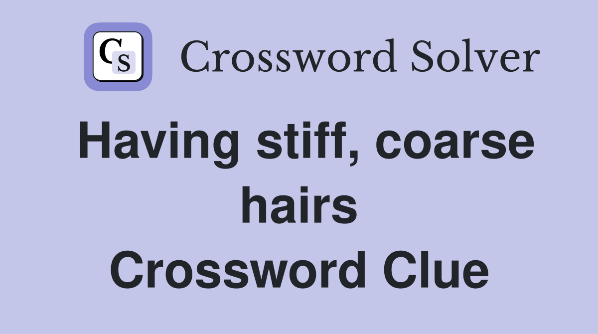 Having stiff, coarse hairs Crossword Clue