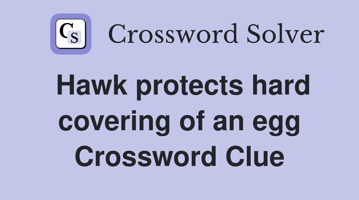 Hawk protects hard covering of an egg Crossword Clue