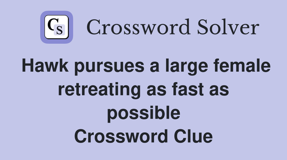 Hawk pursues a large female retreating as fast as possible Crossword Clue