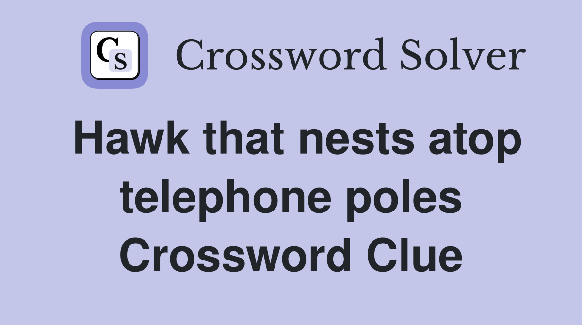 Hawk that nests atop telephone poles Crossword Clue