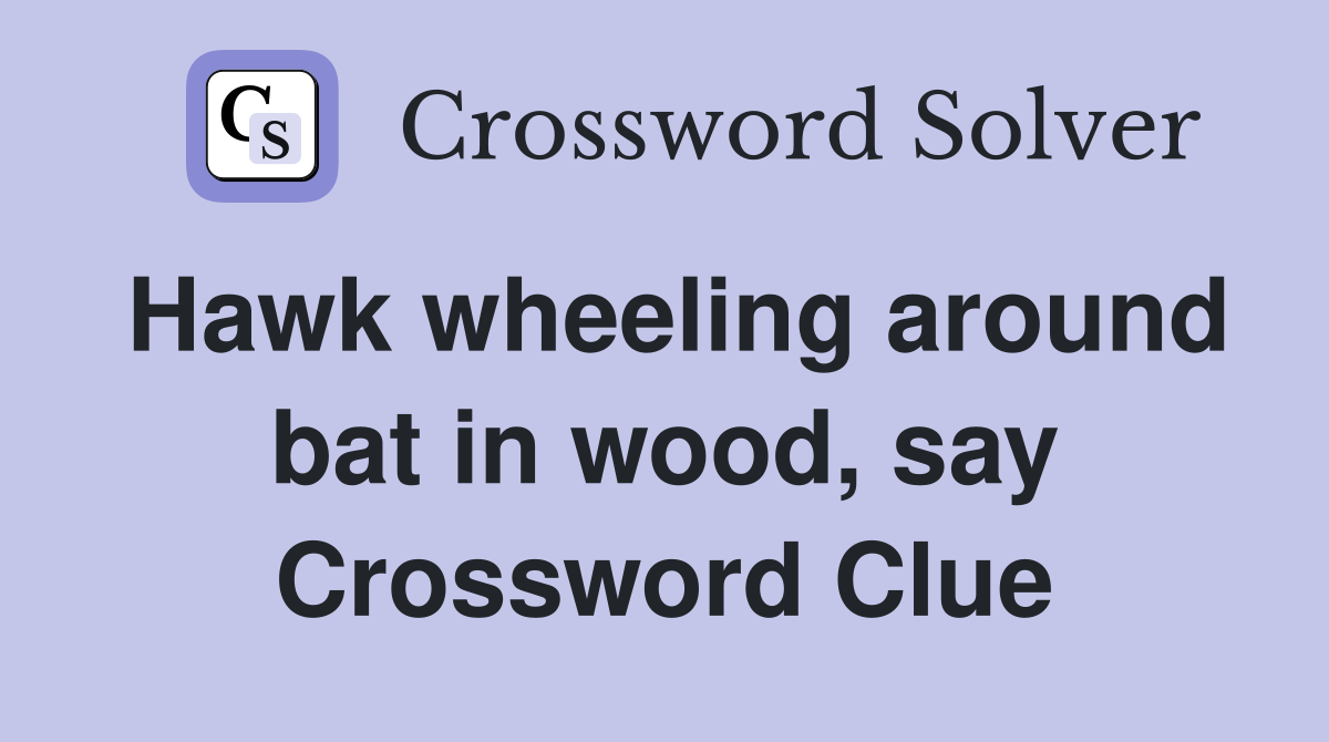 Hawk wheeling around bat in wood, say Crossword Clue