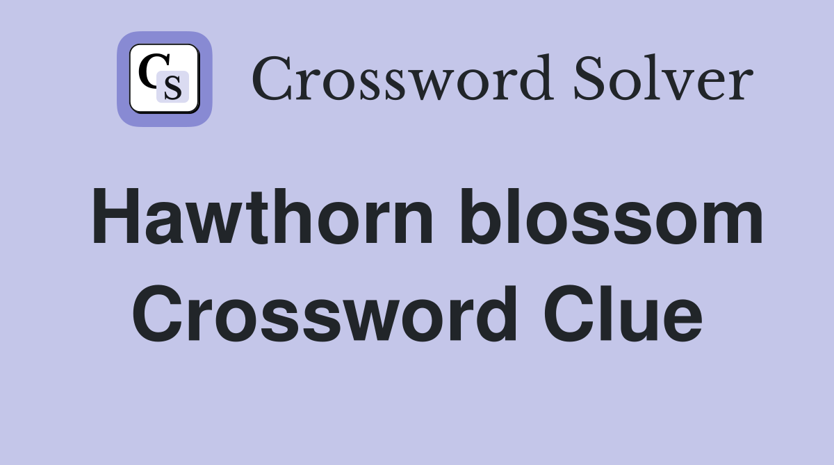 Hawthorn blossom Crossword Clue
