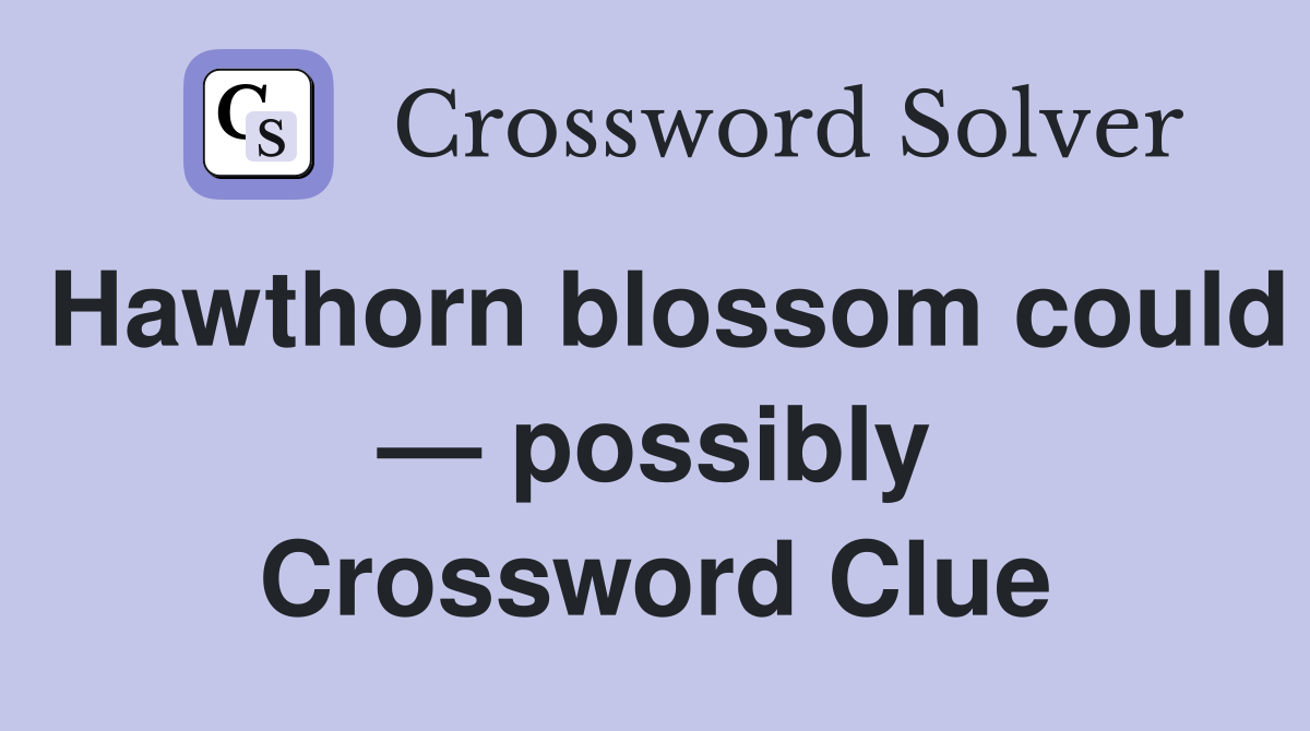 Hawthorn blossom could — possibly Crossword Clue
