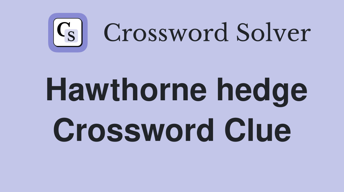Hawthorne hedge Crossword Clue