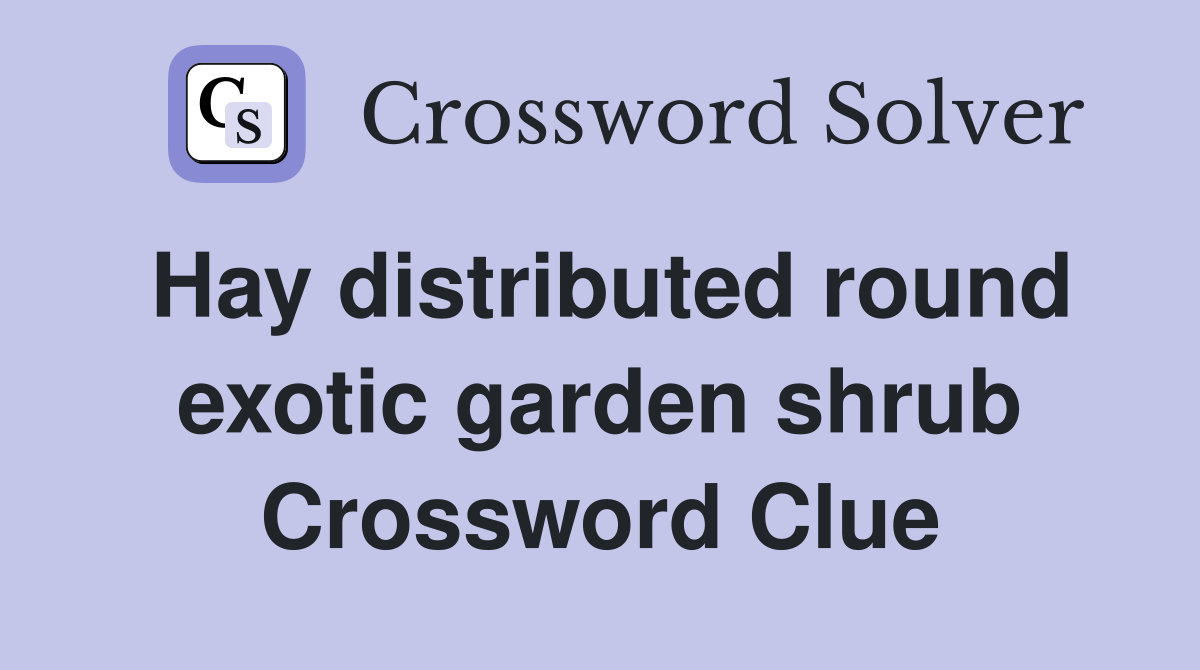 Hay distributed round exotic garden shrub Crossword Clue
