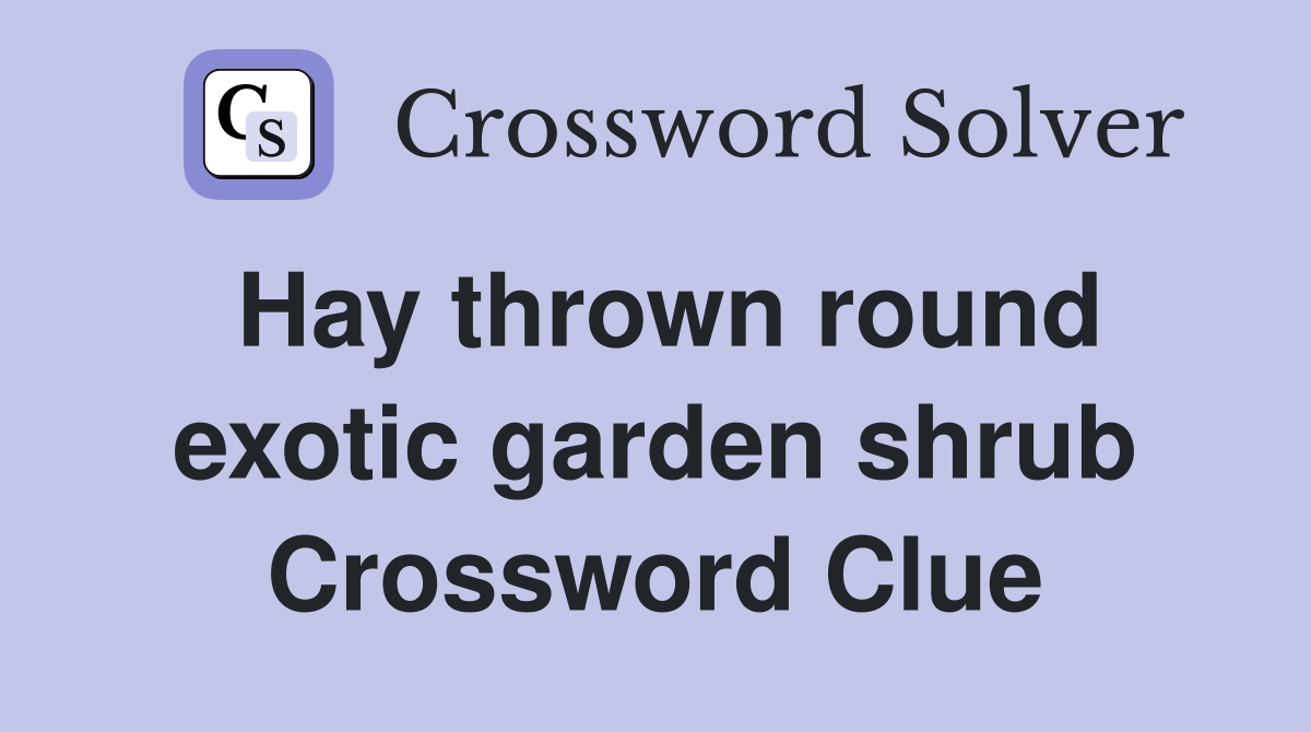 Hay thrown round exotic garden shrub Crossword Clue