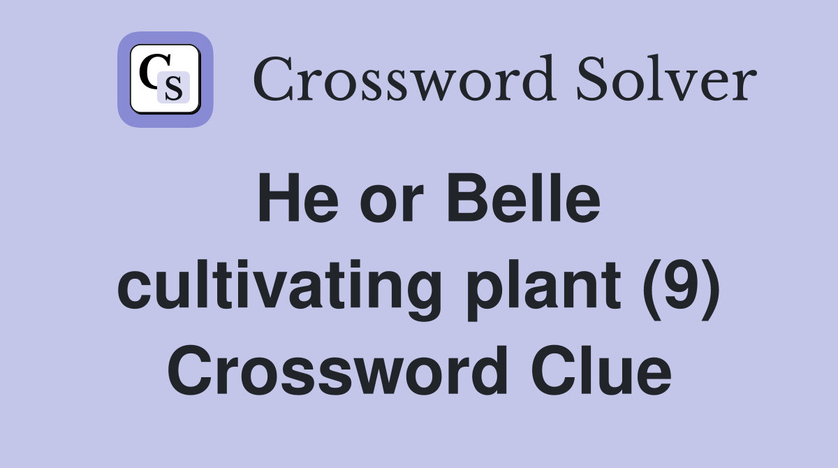 He or Belle cultivating plant (9) Crossword Clue