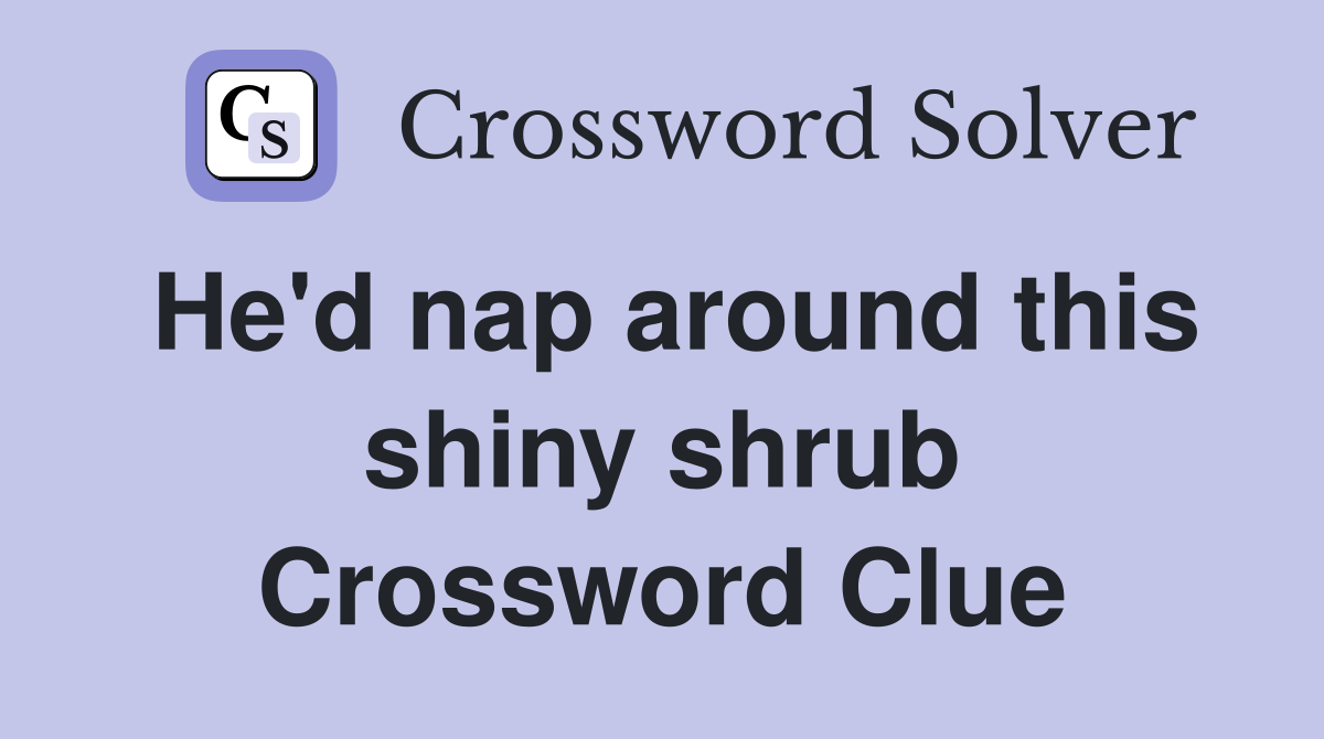 He'd nap around this shiny shrub Crossword Clue
