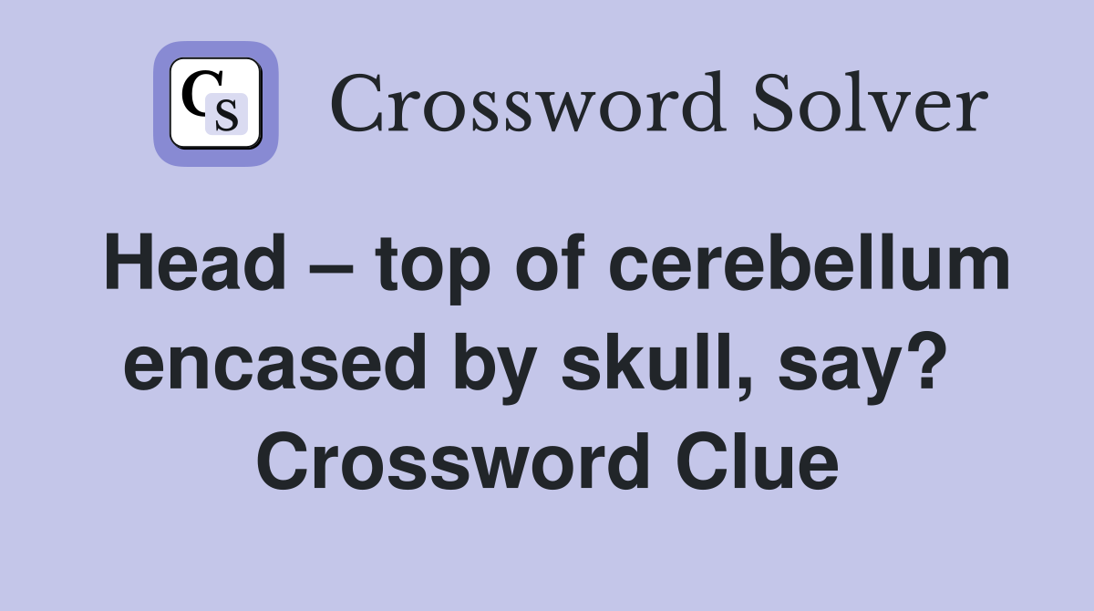 Head – top of cerebellum encased by skull, say?  Crossword Clue