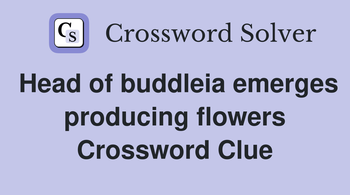 Head of buddleia emerges producing flowers Crossword Clue