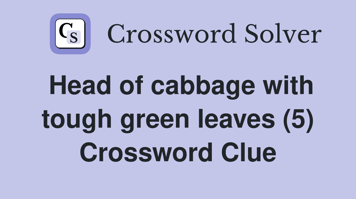 Head of cabbage with tough green leaves (5) Crossword Clue