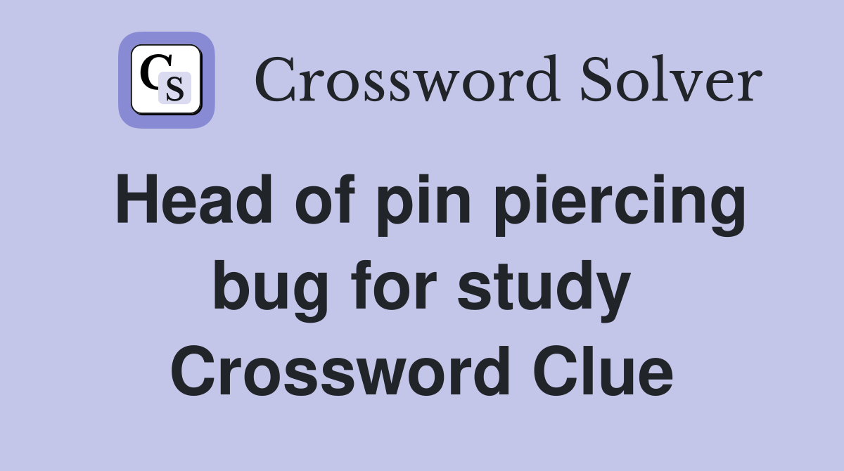 Head of pin piercing bug for study Crossword Clue