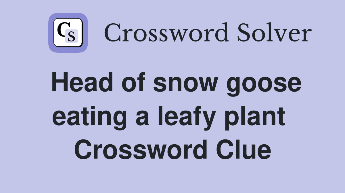 Head of snow goose eating a leafy plant  Crossword Clue