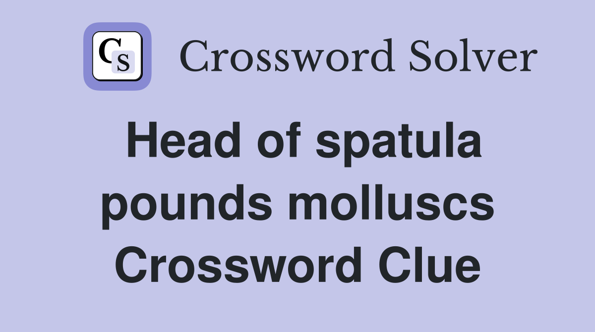 Head of spatula pounds molluscs Crossword Clue