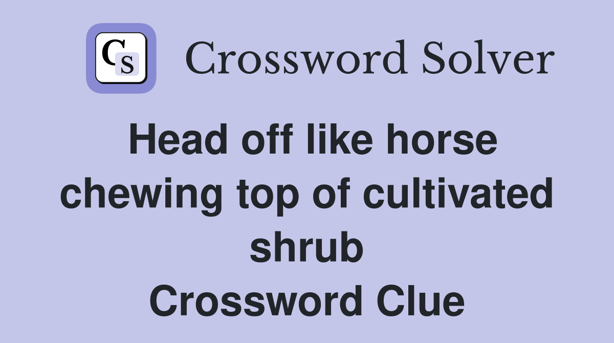 Head off like horse chewing top of cultivated shrub Crossword Clue