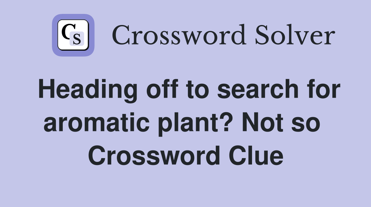 Heading off to search for aromatic plant? Not so  Crossword Clue
