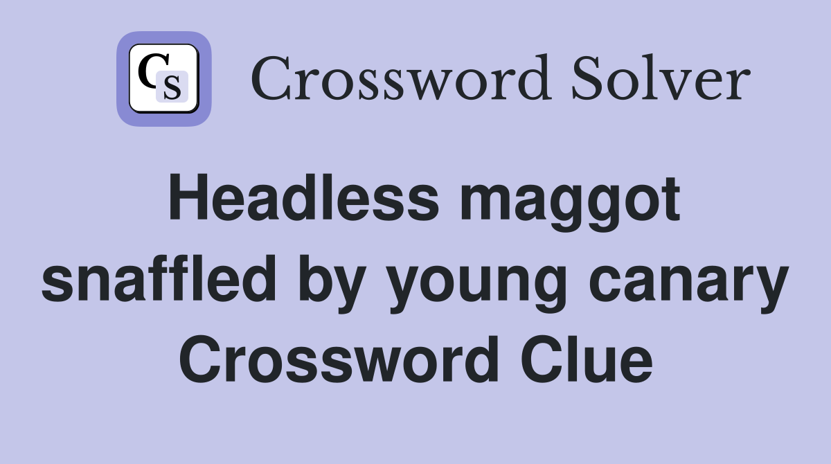 Headless maggot snaffled by young canary Crossword Clue