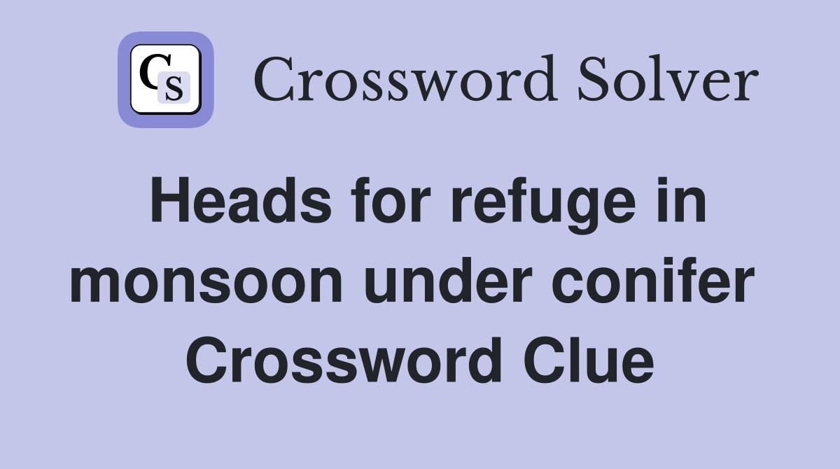 Heads for refuge in monsoon under conifer  Crossword Clue