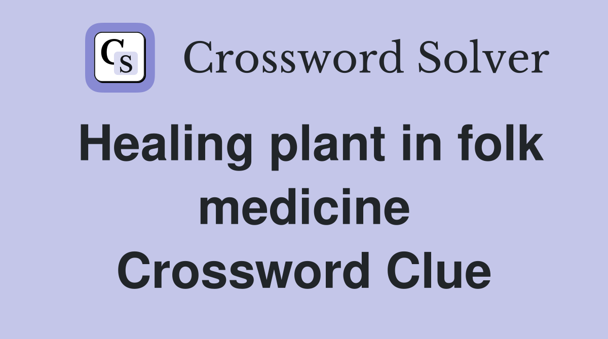 Healing plant in folk medicine Crossword Clue