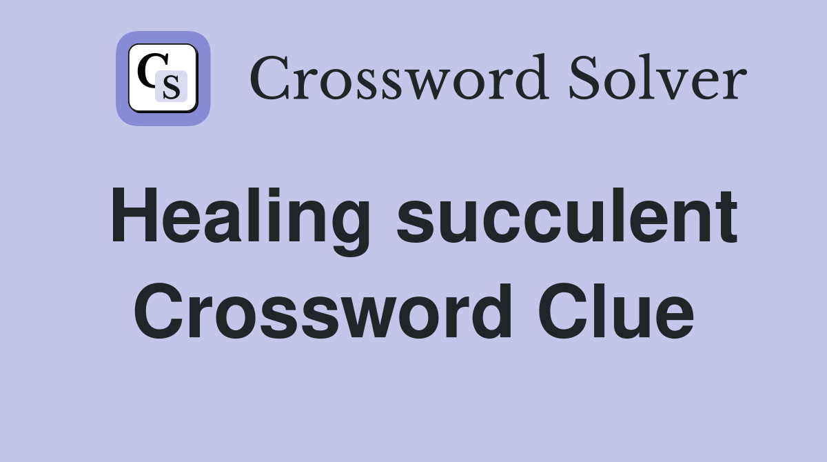 Healing succulent Crossword Clue