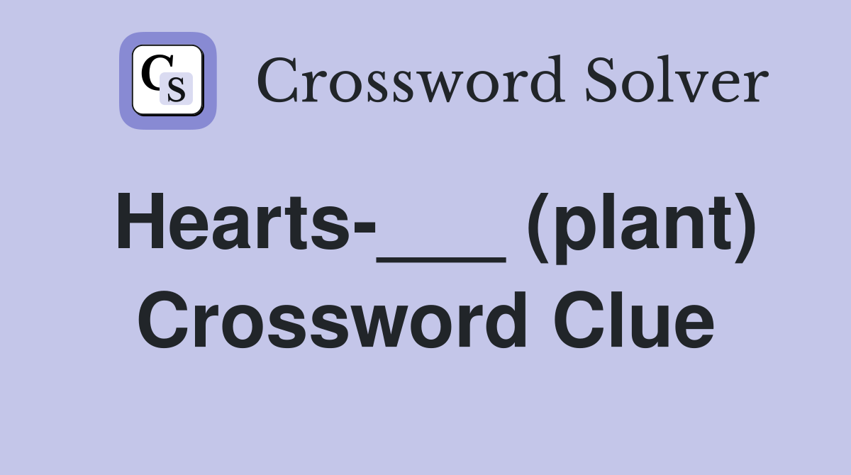 Hearts-___ (plant) Crossword Clue