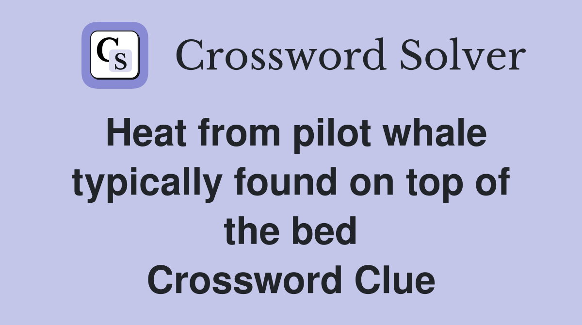 Heat from pilot whale typically found on top of the bed Crossword Clue