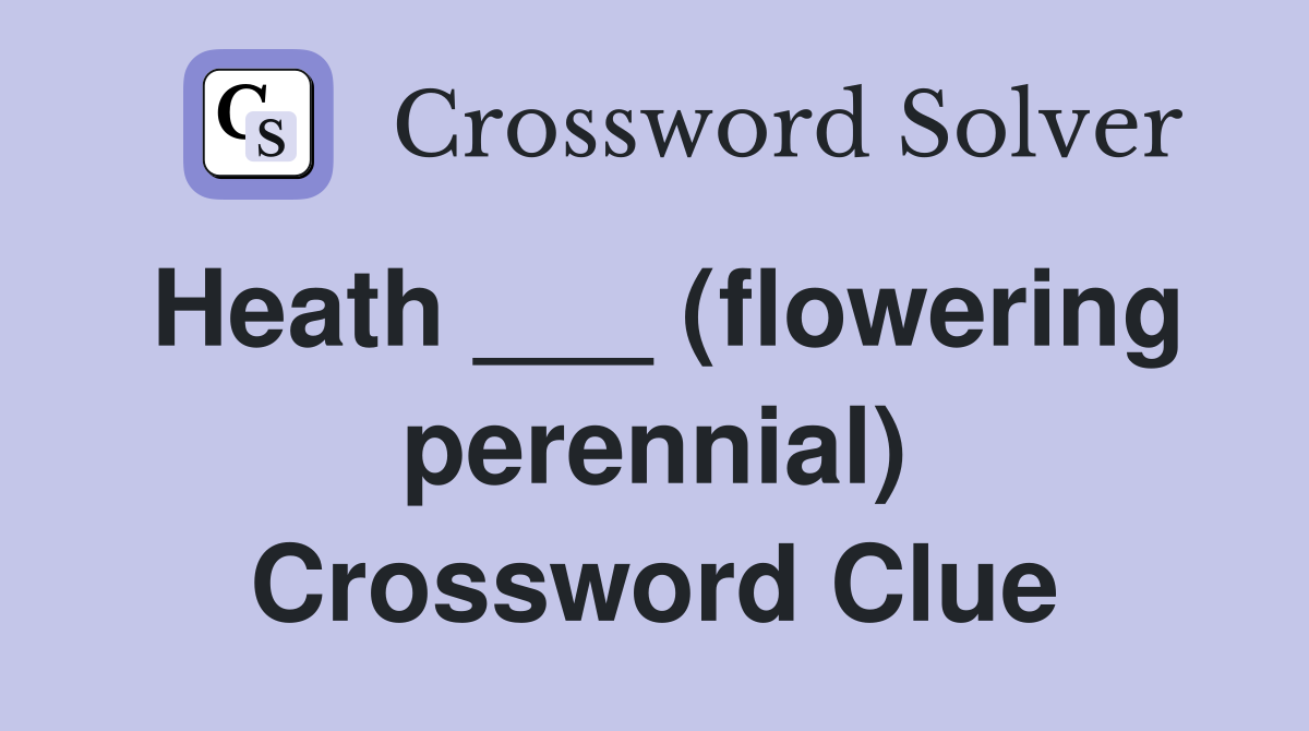 Heath ___ (flowering perennial) Crossword Clue