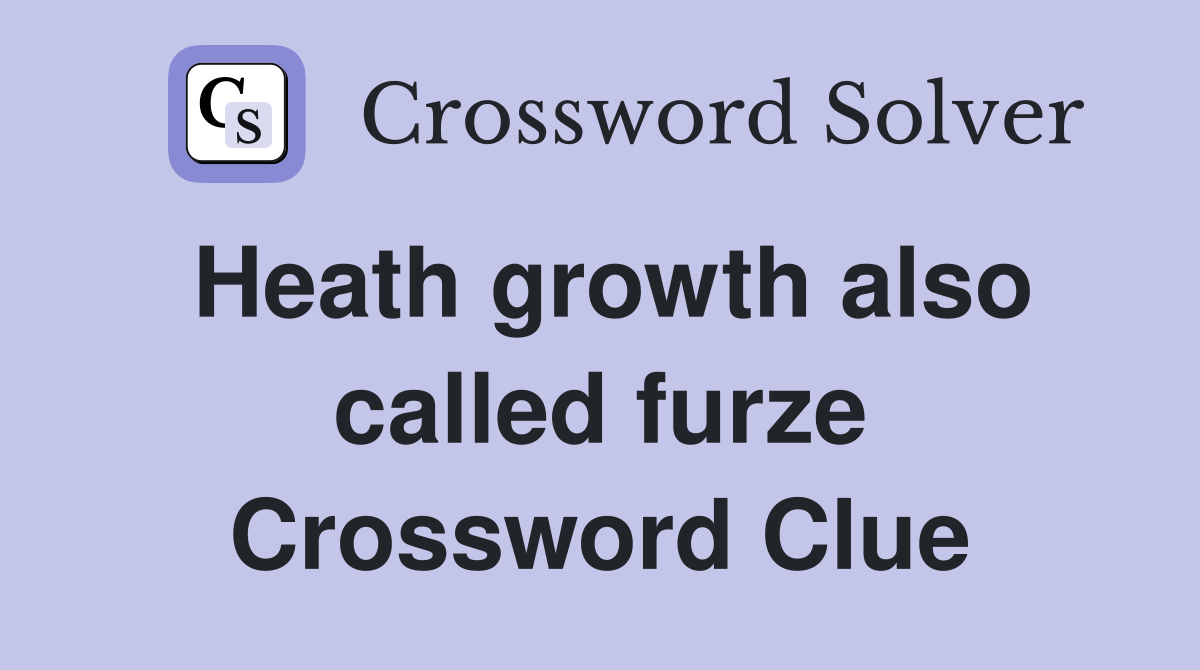 Heath growth also called furze Crossword Clue