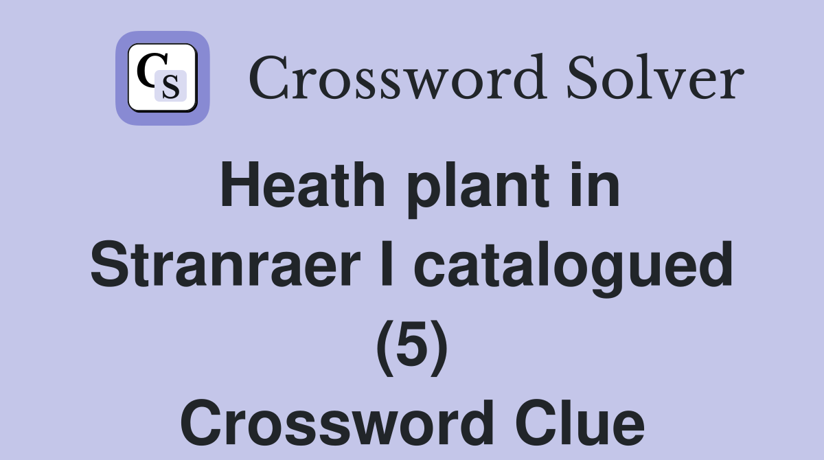 Heath plant in Stranraer I catalogued (5) Crossword Clue