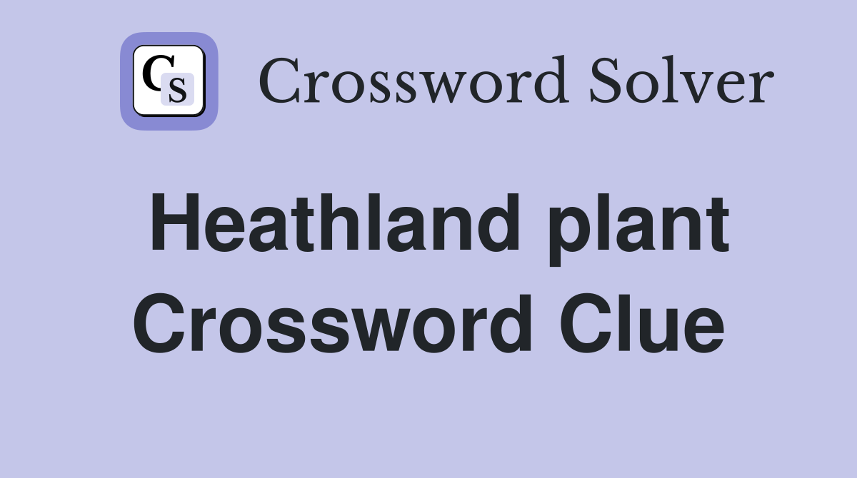Heathland plant Crossword Clue