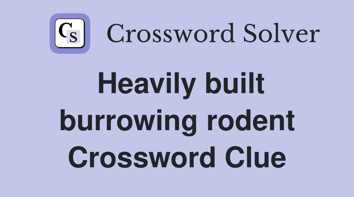 Heavily built burrowing rodent Crossword Clue