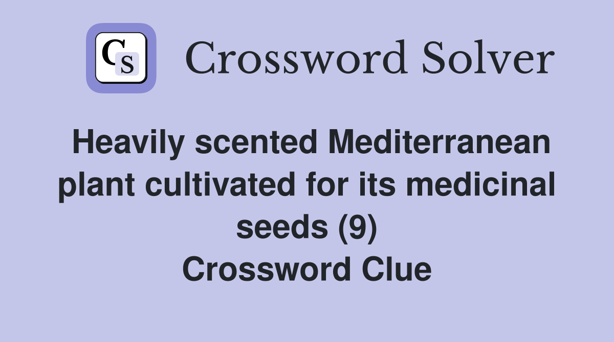 Heavily scented Mediterranean plant cultivated for its medicinal seeds (9) Crossword Clue