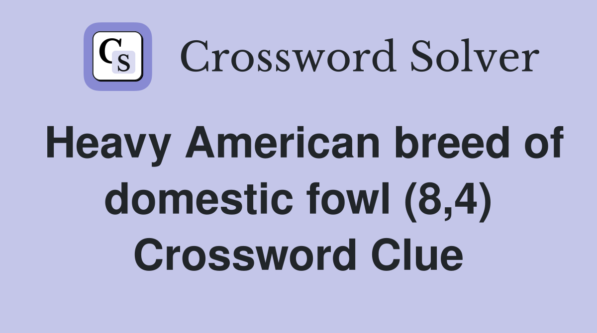 Heavy American breed of domestic fowl (8,4) Crossword Clue