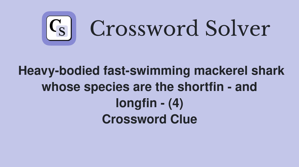 Heavy-bodied fast-swimming mackerel shark whose species are the shortfin - and longfin - (4) Crossword Clue