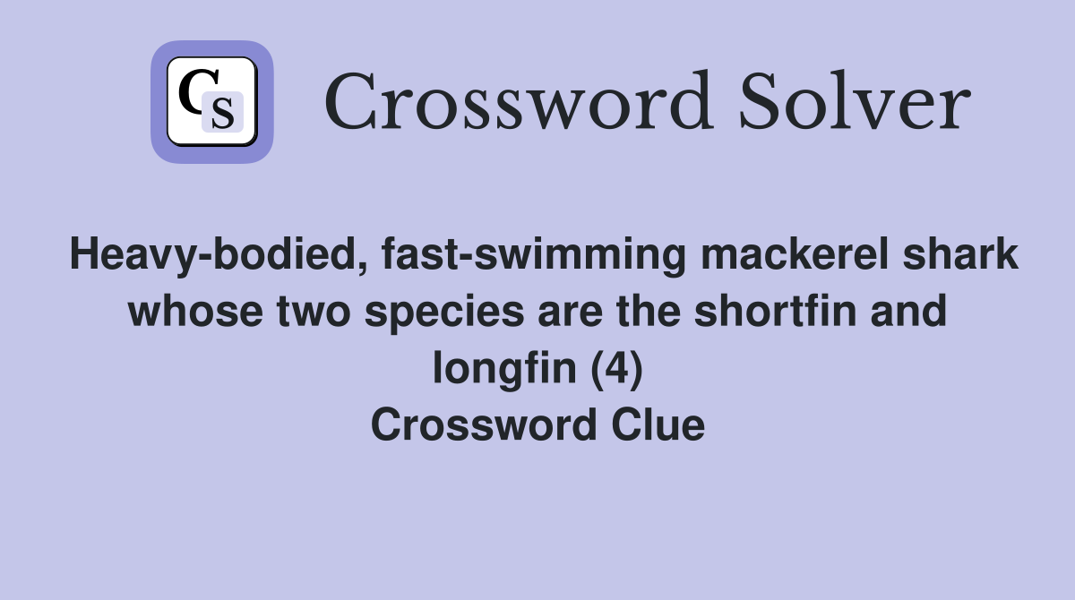 Heavy-bodied, fast-swimming mackerel shark whose two species are the shortfin and longfin (4) Crossword Clue