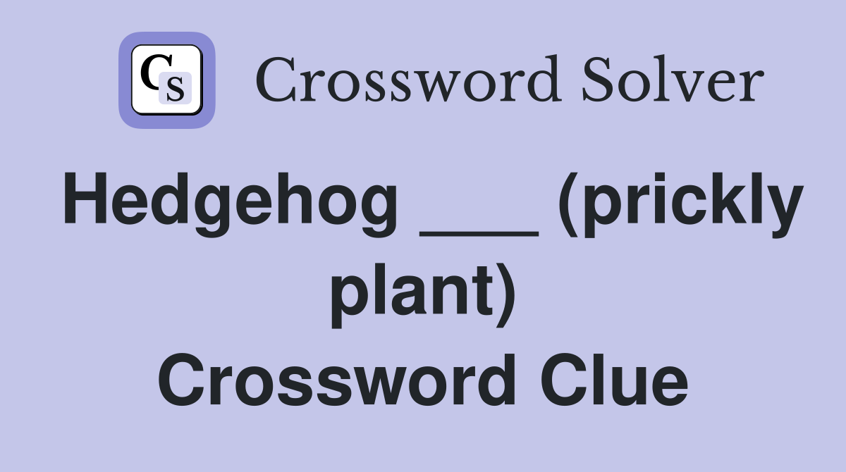 Hedgehog ___ (prickly plant) Crossword Clue