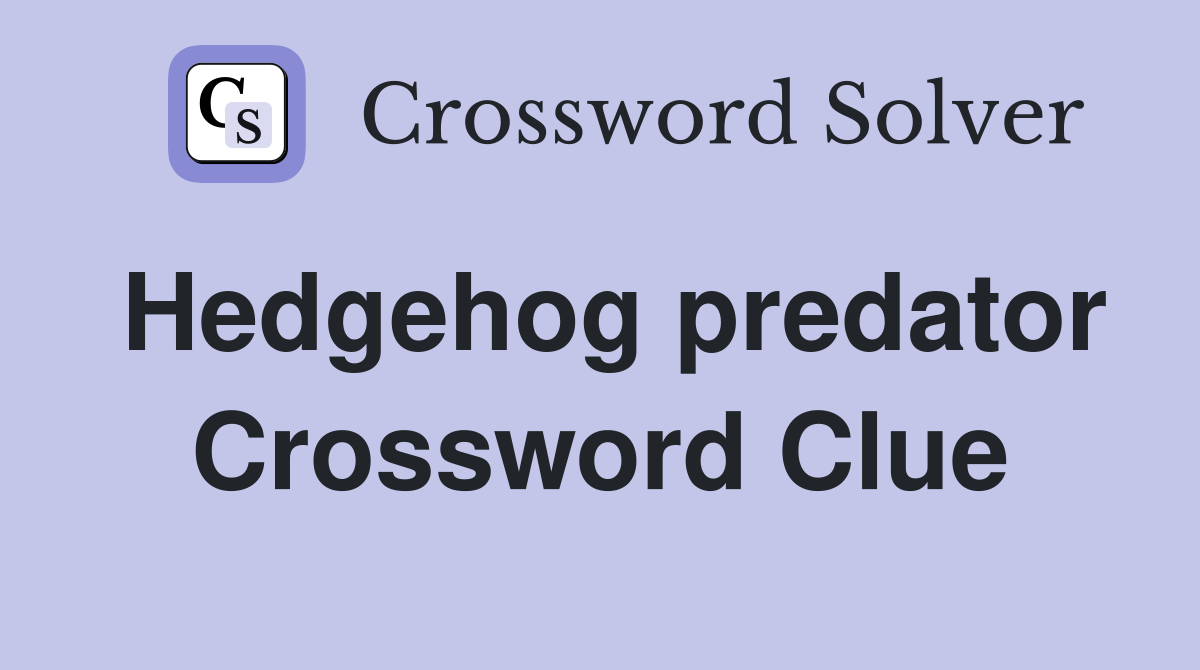 Hedgehog predator Crossword Clue