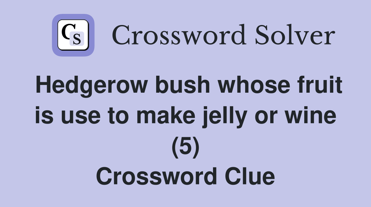 Hedgerow bush whose fruit is use to make jelly or wine (5) Crossword Clue