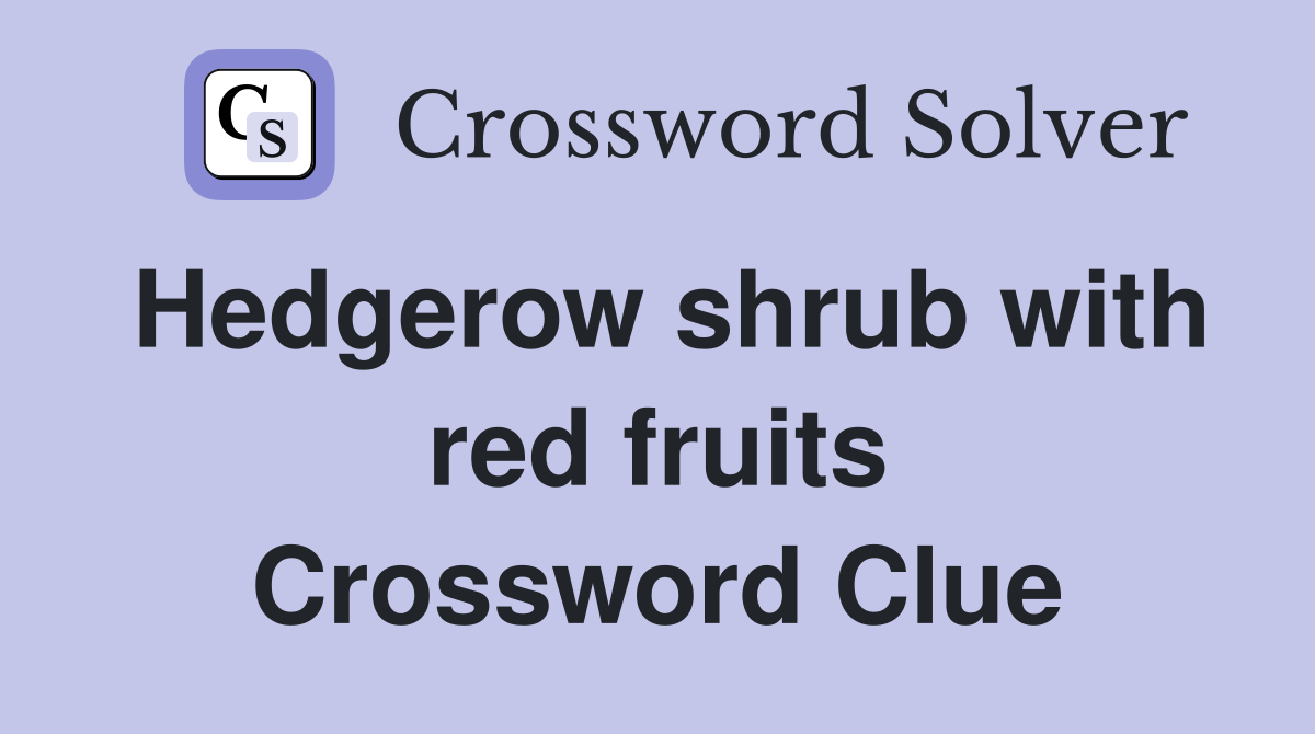 Hedgerow shrub with red fruits Crossword Clue