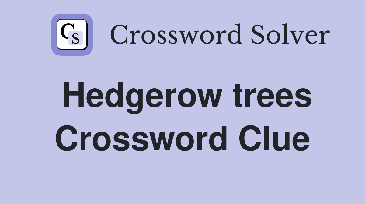 Hedgerow trees Crossword Clue