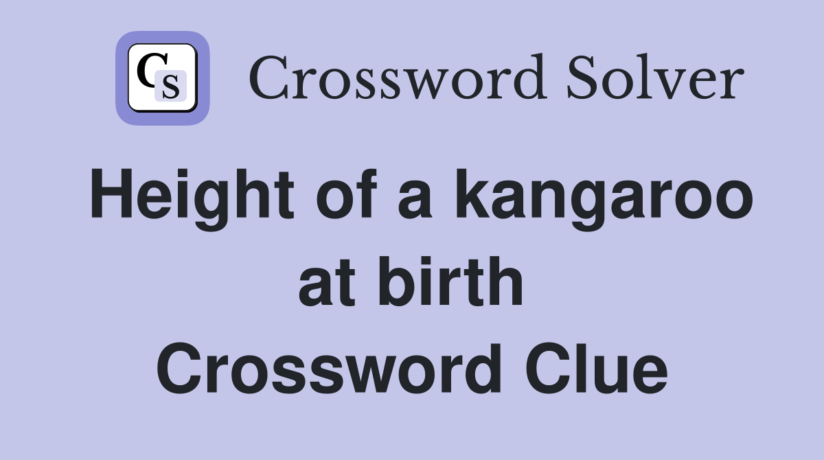 Height of a kangaroo at birth Crossword Clue
