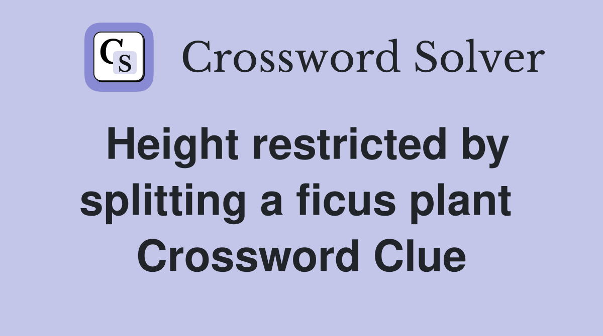 Height restricted by splitting a ficus plant  Crossword Clue