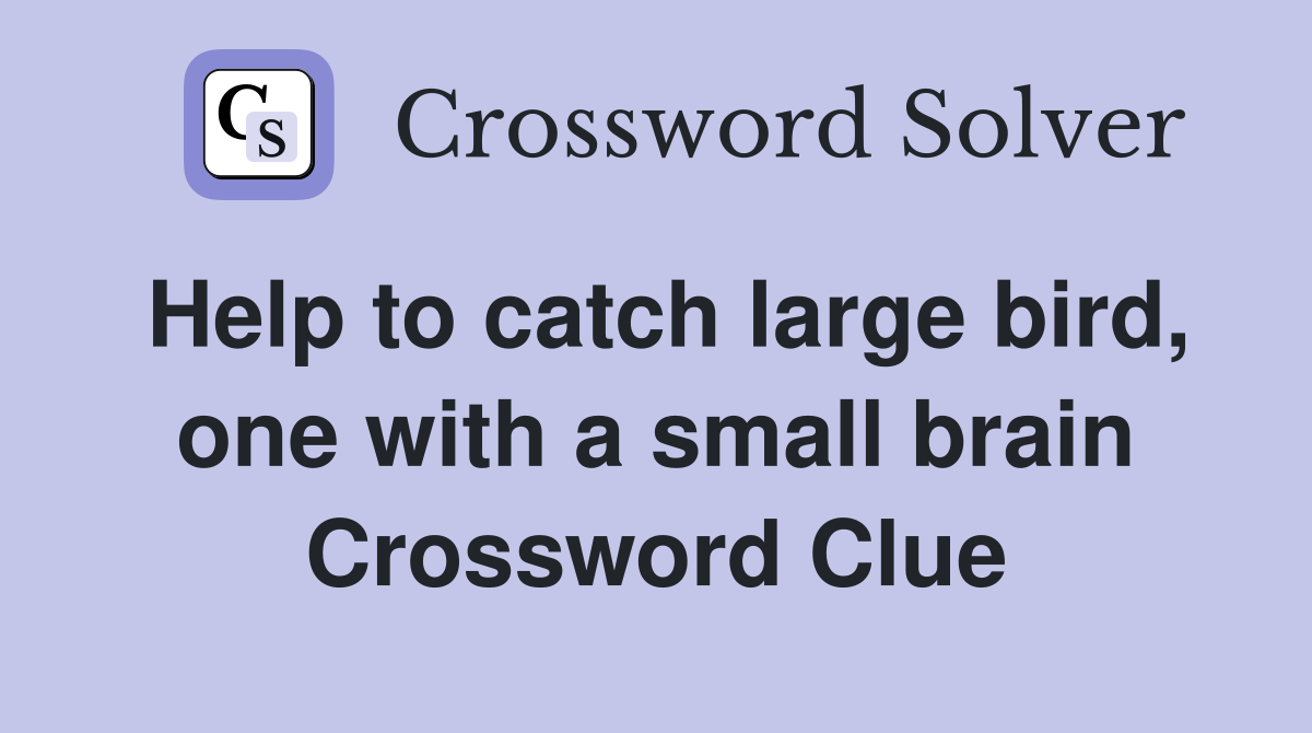 Help to catch large bird, one with a small brain Crossword Clue