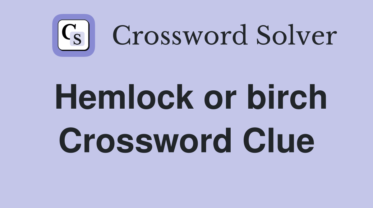 Hemlock or birch Crossword Clue