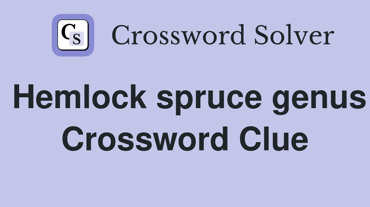 Hemlock spruce genus Crossword Clue