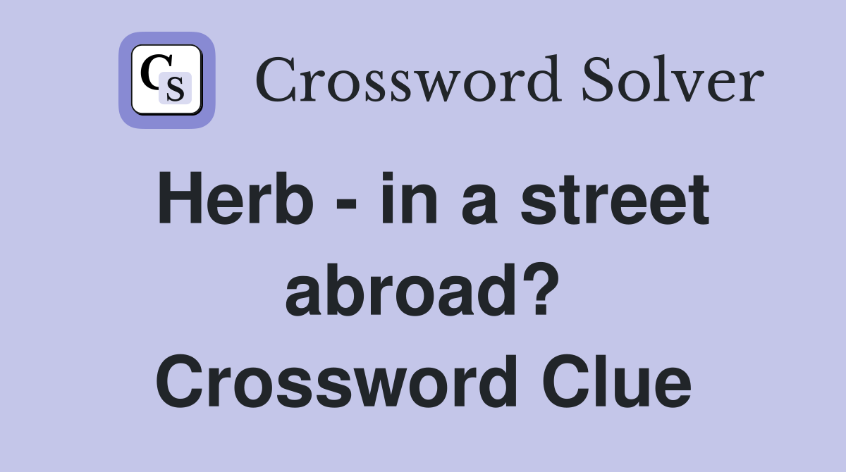 Herb - in a street abroad? Crossword Clue