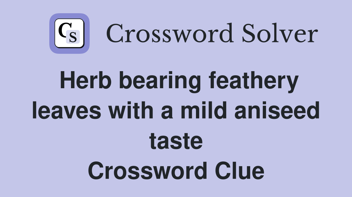 Herb bearing feathery leaves with a mild aniseed taste Crossword Clue