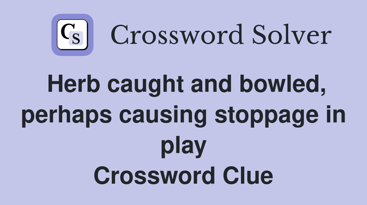 Herb caught and bowled, perhaps causing stoppage in play Crossword Clue